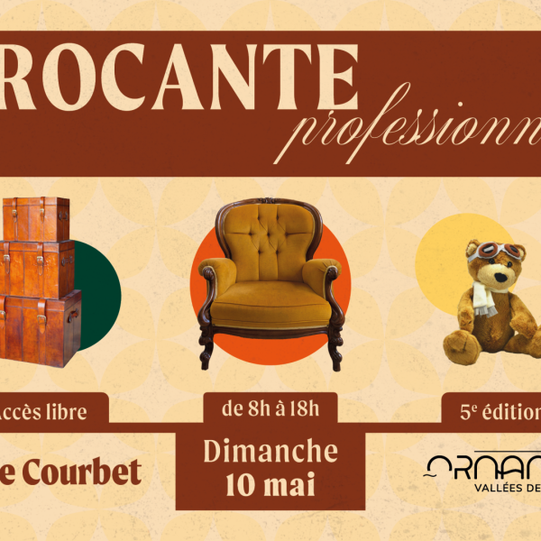 Brocante professionnelle