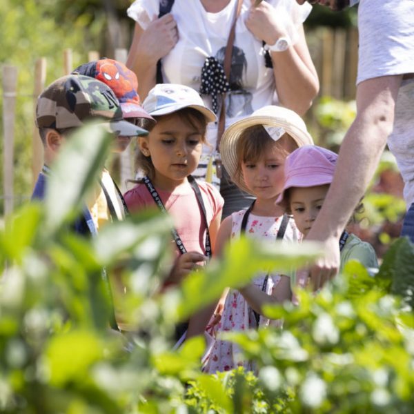 Les p&rsquo;tits ateliers du printemps