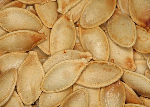 Faire ses semences de légumes et fleurs