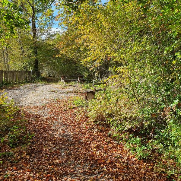 Sentier Botanique – Rurey