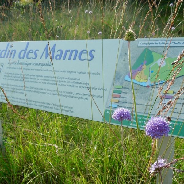 Sentier du Jardin des Marnes