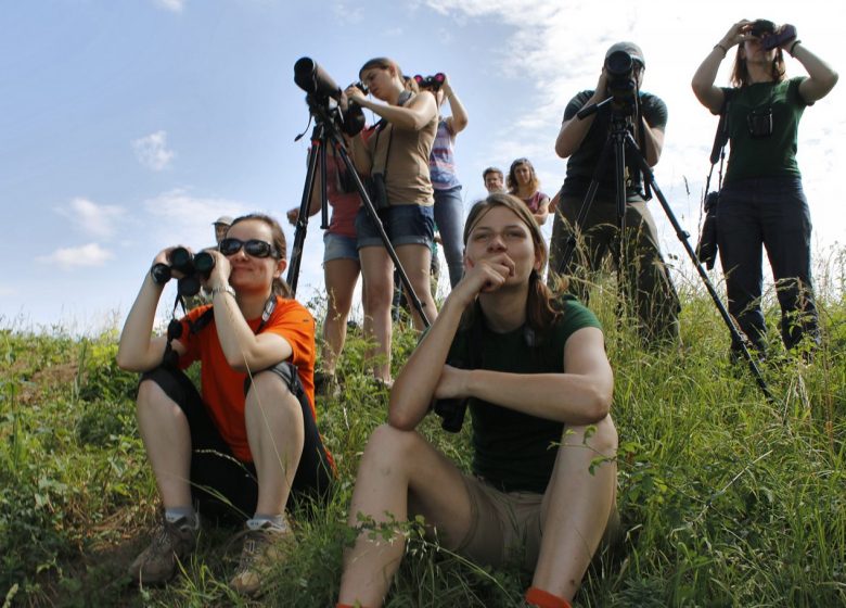 Sortie nature (miniature 720×410)