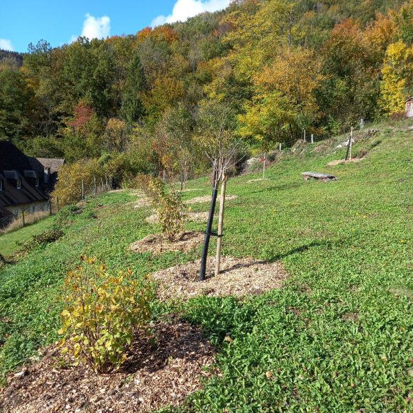 Verger communal de sauvegarde de Nans-sous-Sainte-Anne
