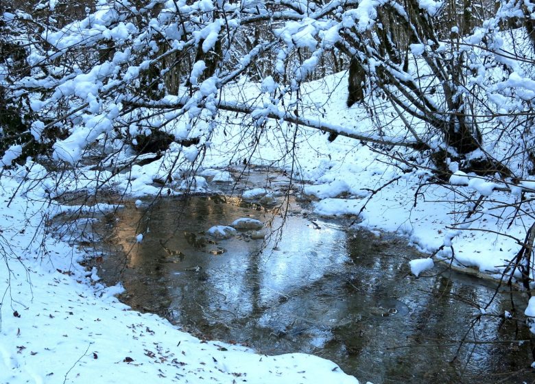 Source bleue sous la neige
