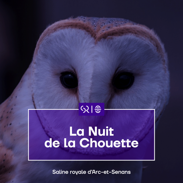 [COMPLET] La Nuit de la Chouette