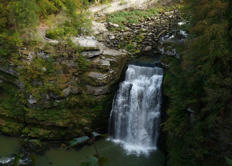 Bassins_SautDoubs_32_CDT25_lizM_5