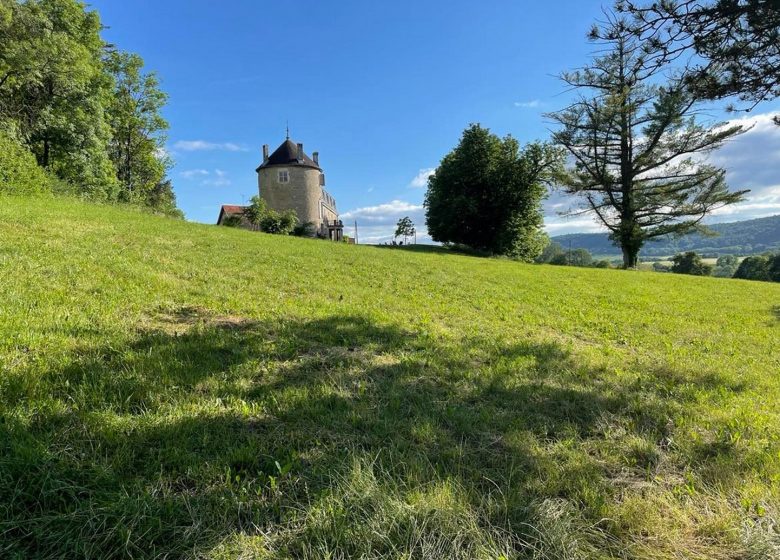 castel 3