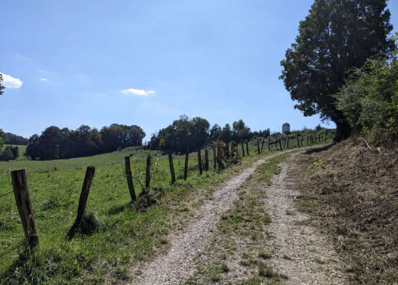 Chemin dans les pâtures_1