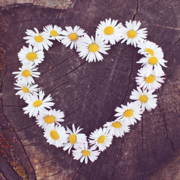 Fêtez la Saint-Valentin au Champ des Lys