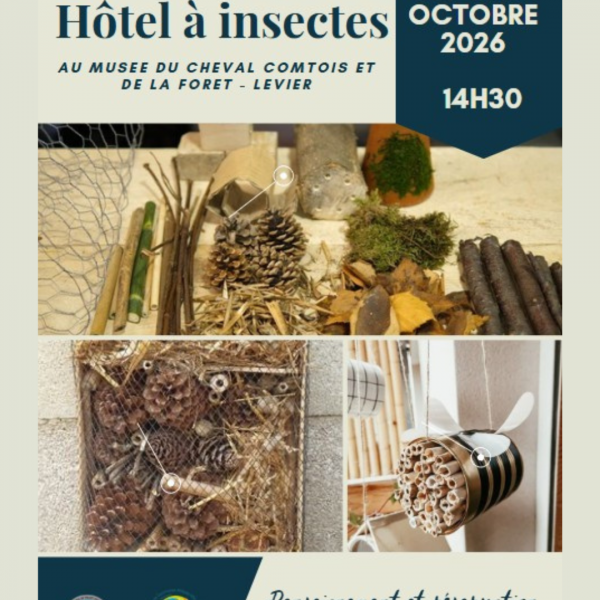 Atelier enfant – Hôtel à insectes
