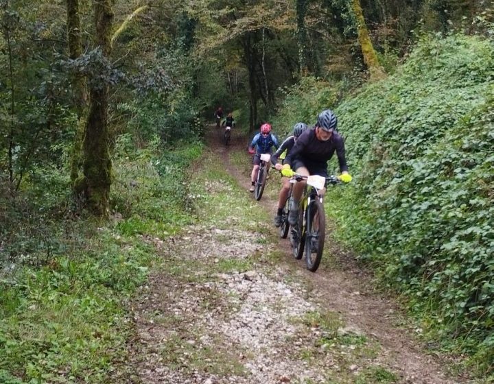 IMG-20241006-WA0040_2