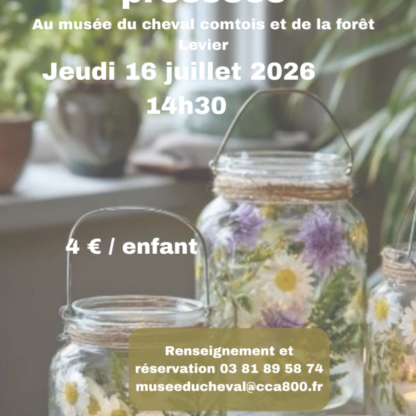 Atelier enfant – Lanterne en fleurs pressées