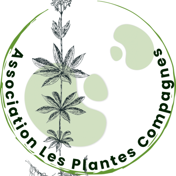 Les plantes compagnes