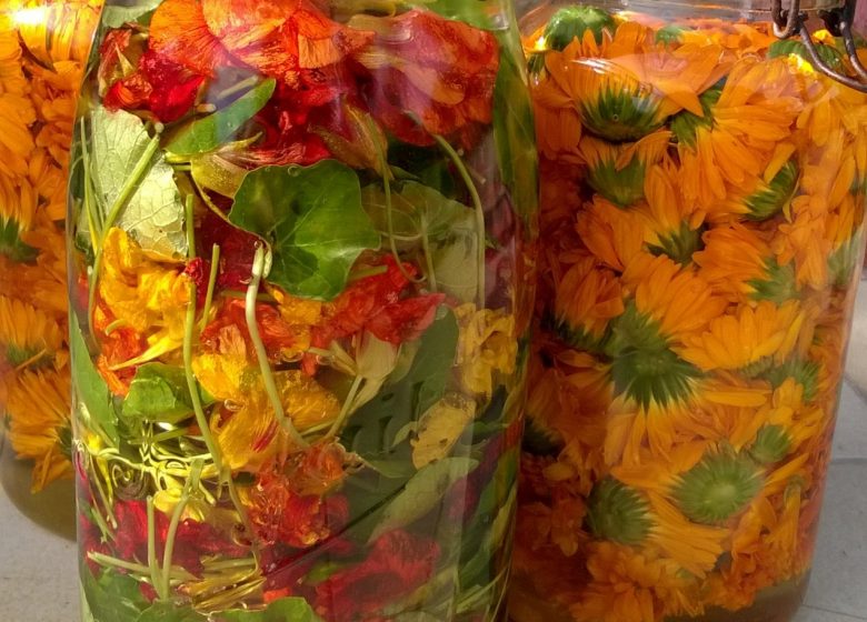 macérats huileux de capucine et de calendula