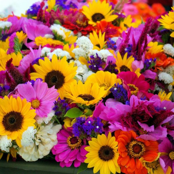 Marché aux fleurs et vide grenier