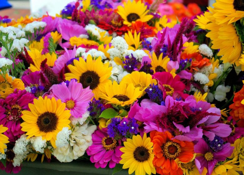 mikegoad-farmers-market-mixed-flowers-3777733