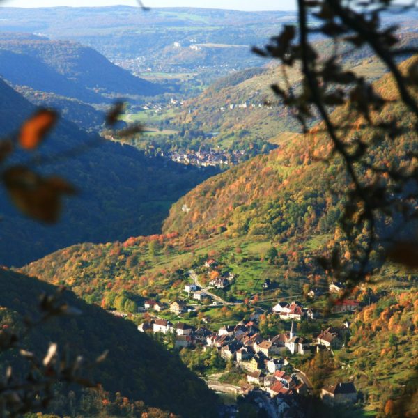 Moine de la Vallée – n° 29