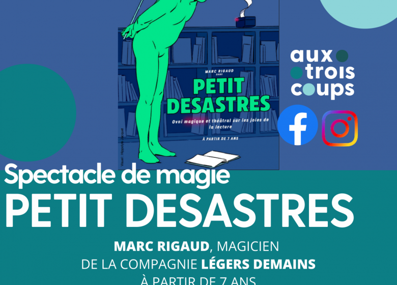 petit dEsastres INSTA