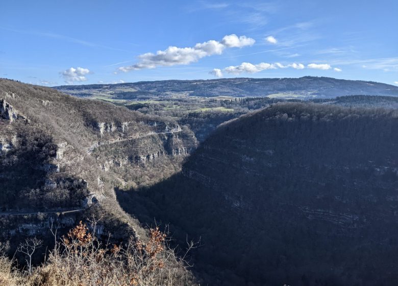 PXL_20240213_102201264_2