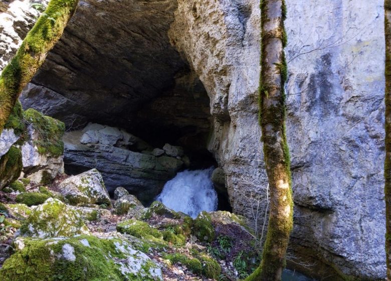 PXL_20240213_122446610_3