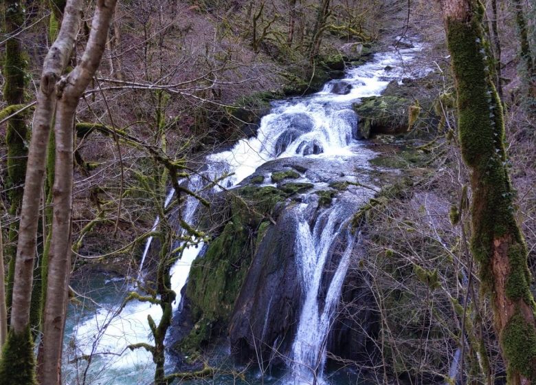 PXL_20240213_133221302_4