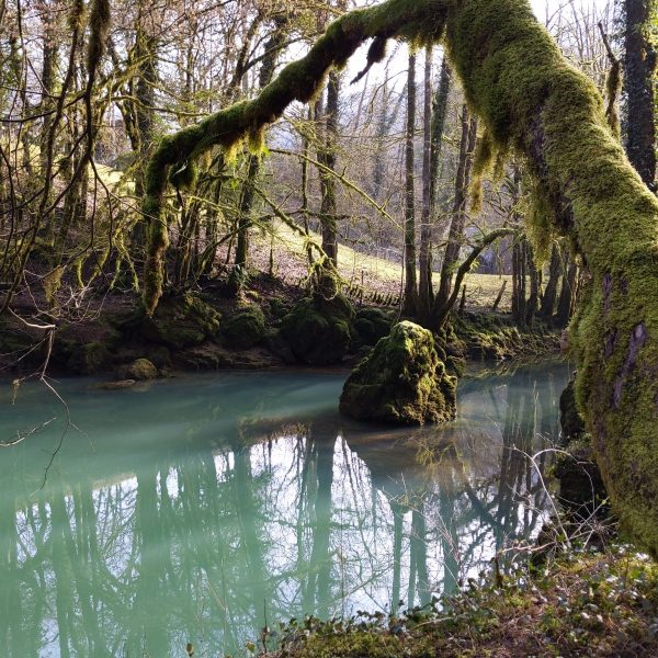 Sentier Courbet 7 : L&rsquo;école de la nature