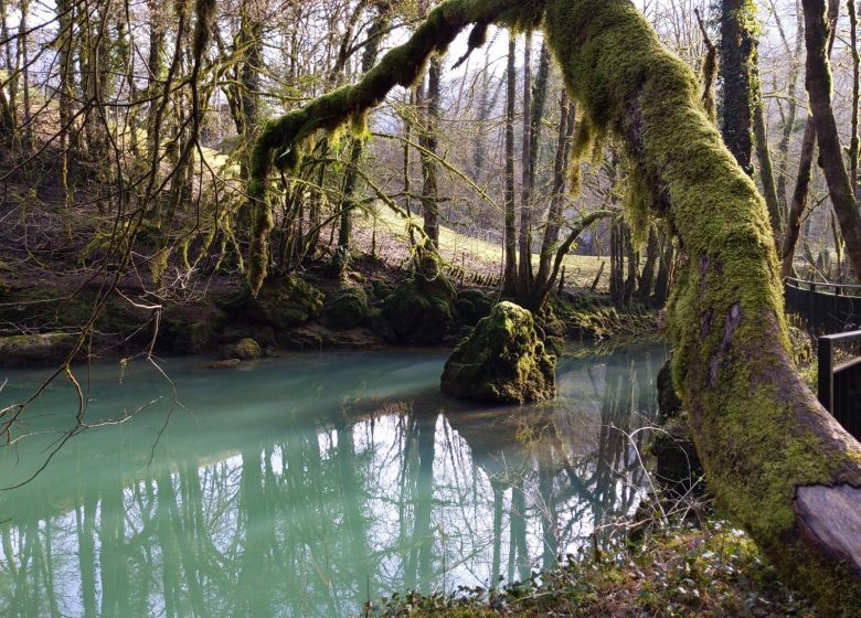 PXL_20240229_092333961_1