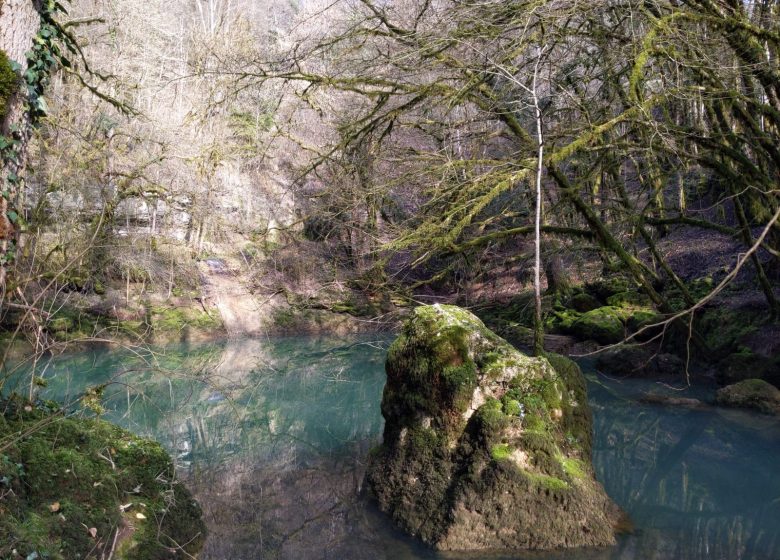 PXL_20240229_092632697_5