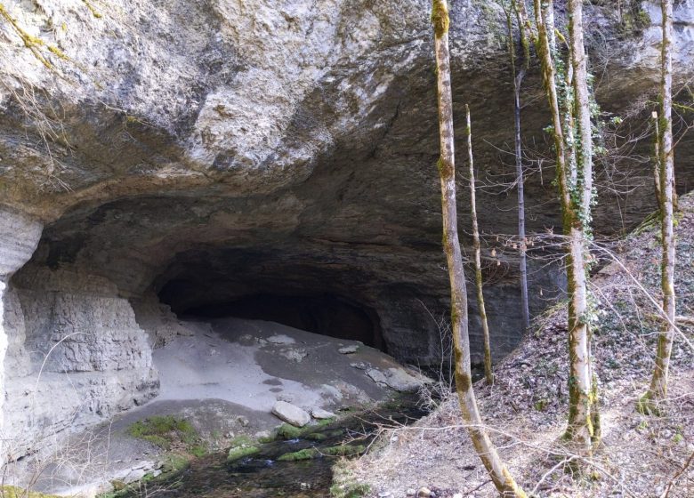 PXL_20240229_105737779_4