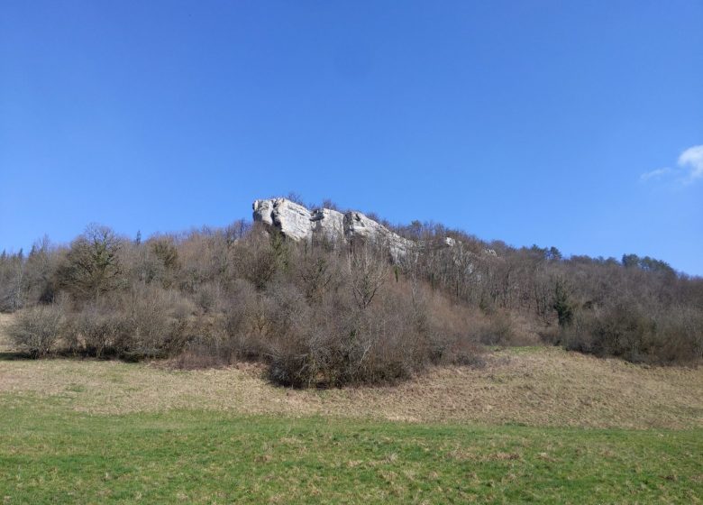 PXL_20240229_111324133_3