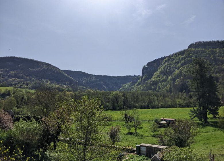 PXL_20240411_091243544_3