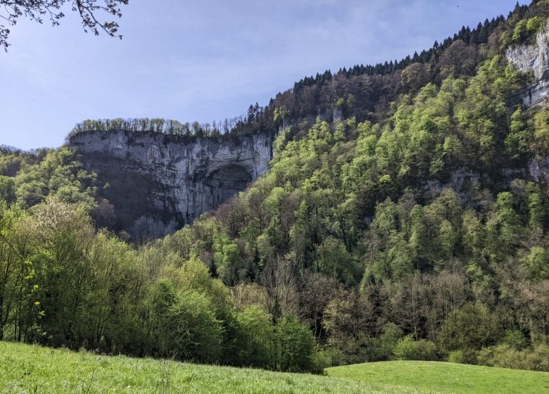 PXL_20240411_095059481_2