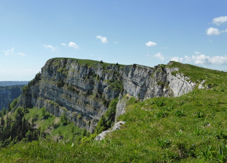 Randonnée au Mont d&rsquo;Or©DoubsTourisme-S. Dornier (39)_6