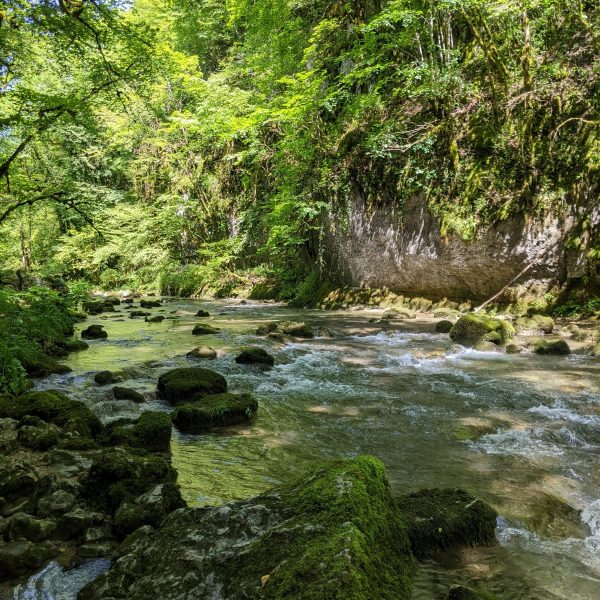 Sentier Courbet 6 : Le Ravin du Puits Noir, l&rsquo;atelier en nature