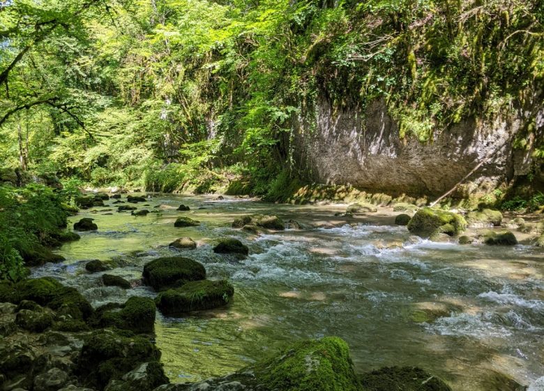 Ravin du Puits Noir_1