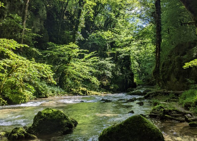 Ravin du Puits Noir_3