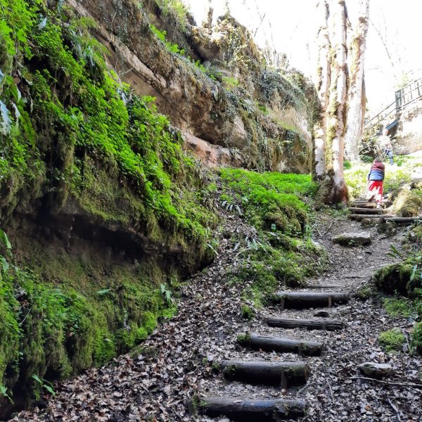 Sentier karstique du grand bois et grotte Maëva
