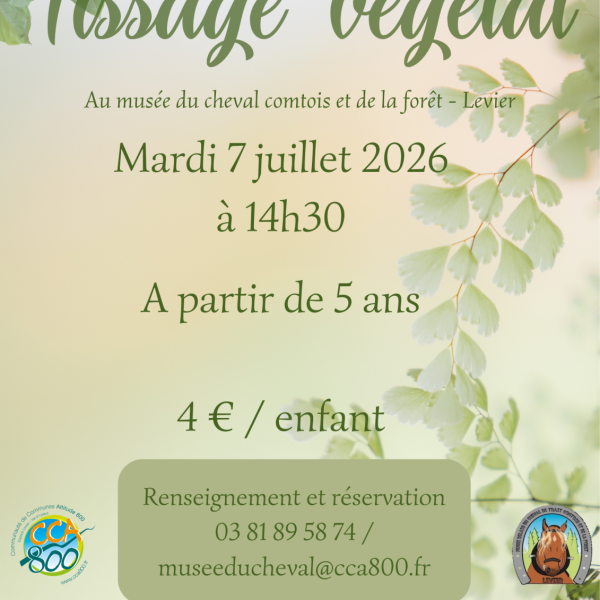 Atelier enfant – Tissage végétal