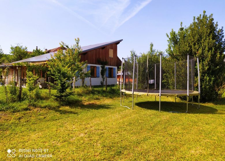 trampoline