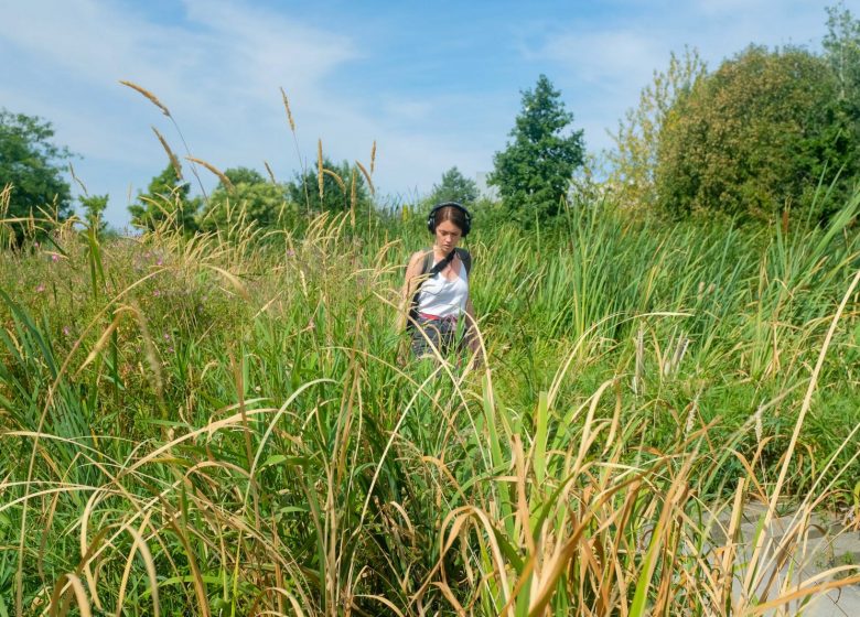 L’appel de la forêt