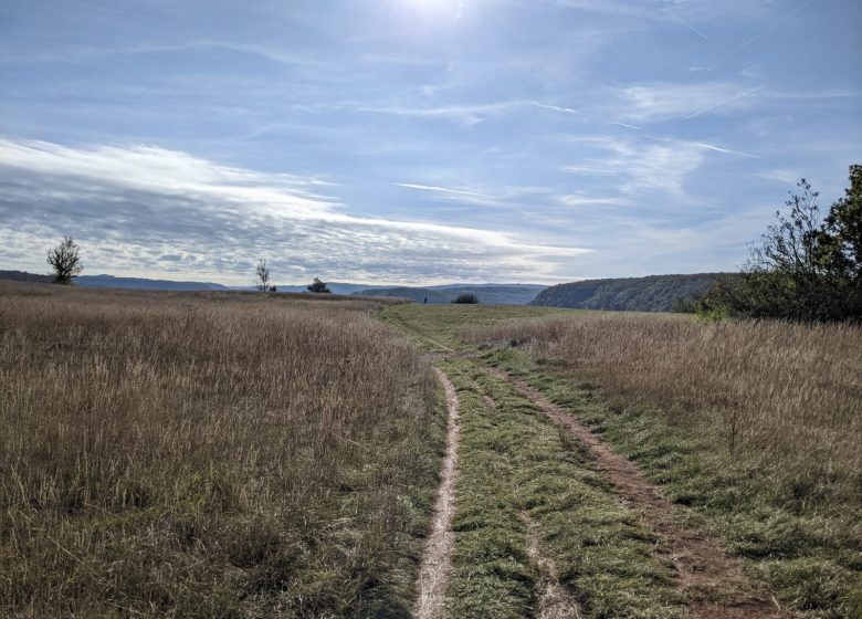 WhatsApp Image 2024-02-20 at 11.33.15 (1)_4