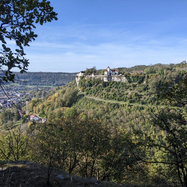 Sentier Courbet 2 : Courbet, l&rsquo;habitant du vallon