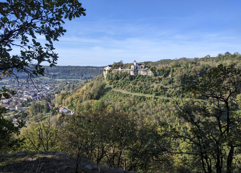 WhatsApp Image 2024-02-20 at 11.33.15 (2)_1